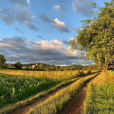 Apartament Aux Songes D'Elise Belmont  Zewnętrze zdjęcie