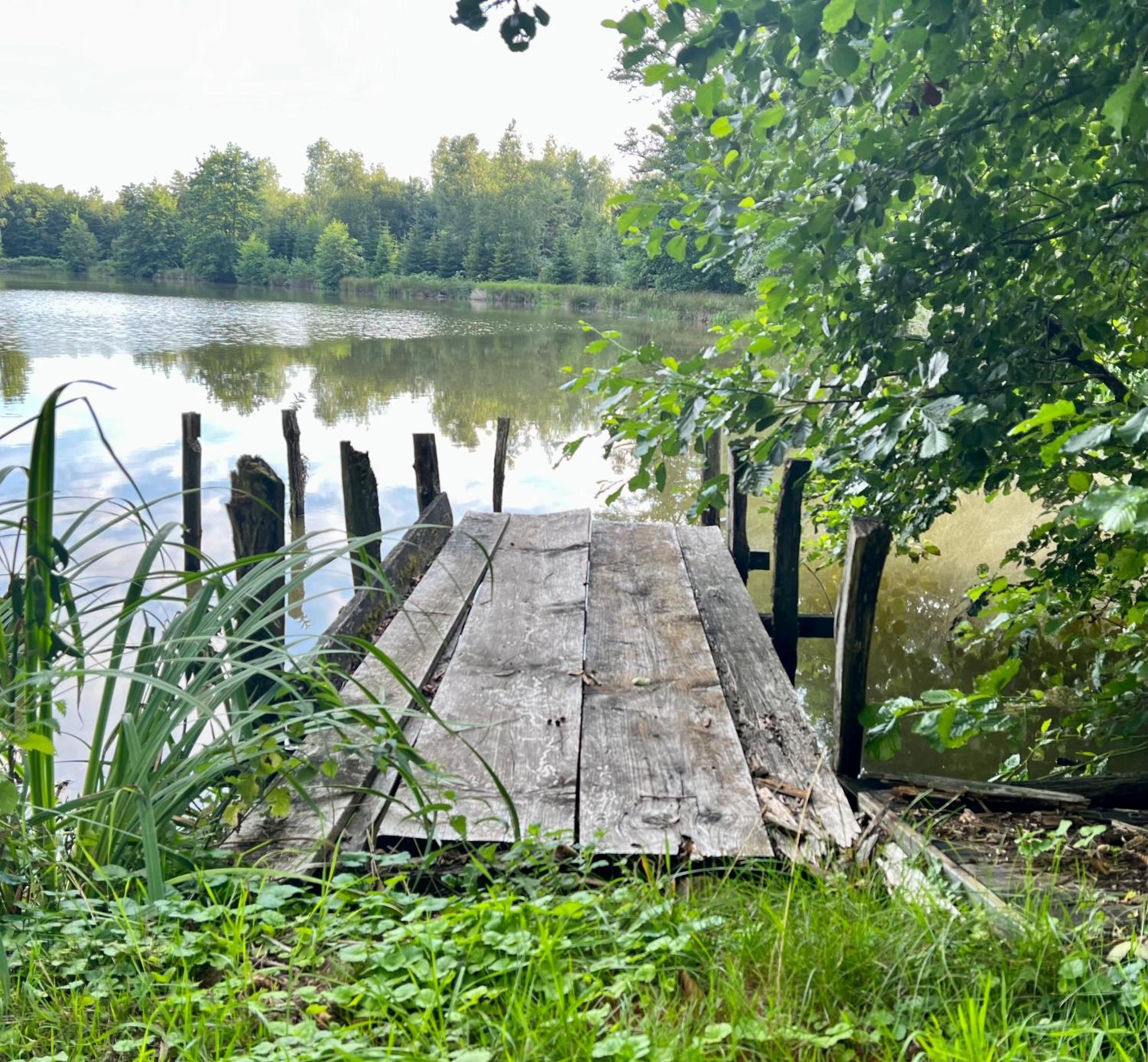Apartament Aux Songes D'Elise Belmont  Zewnętrze zdjęcie